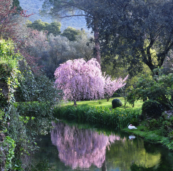 view of a corner of the gardens