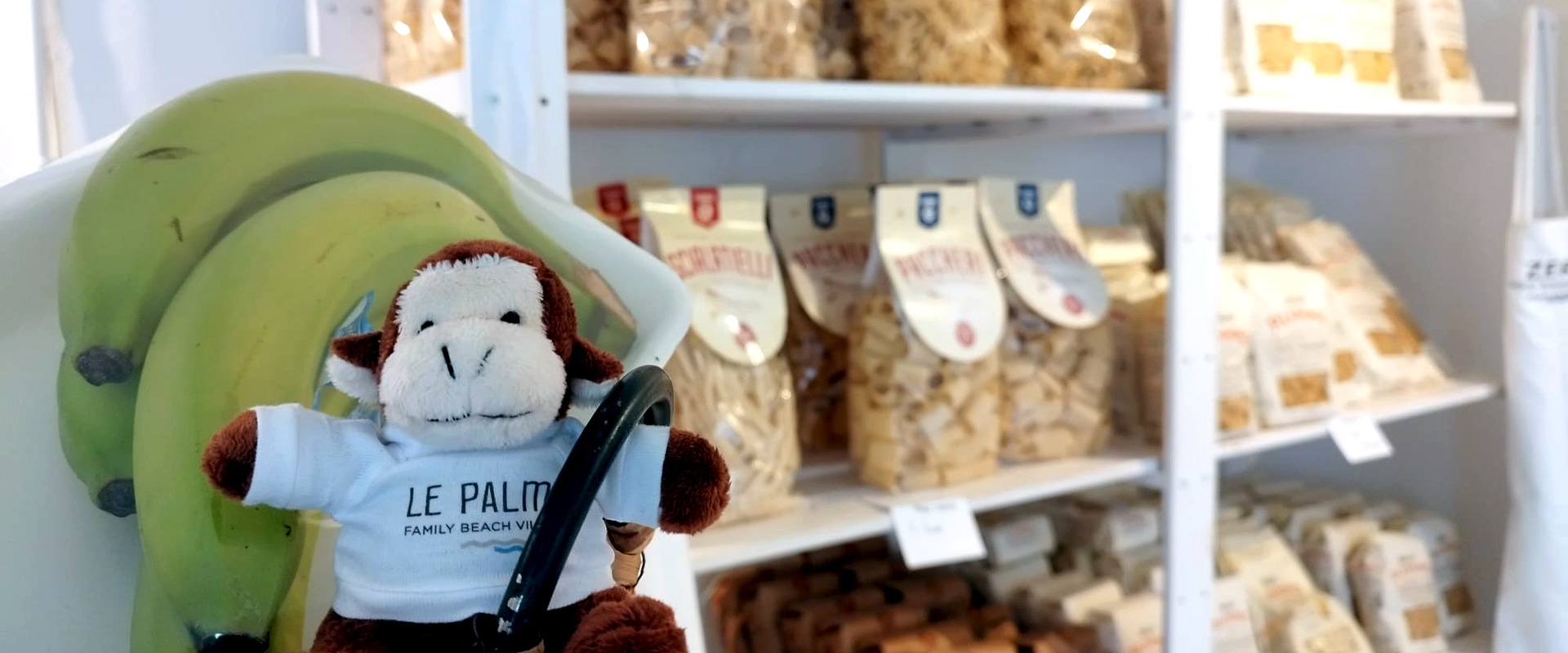 immagine Shop in Village